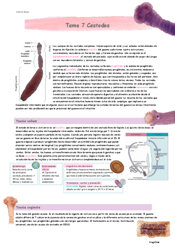 Miniatura del documento Tema-7.pdf