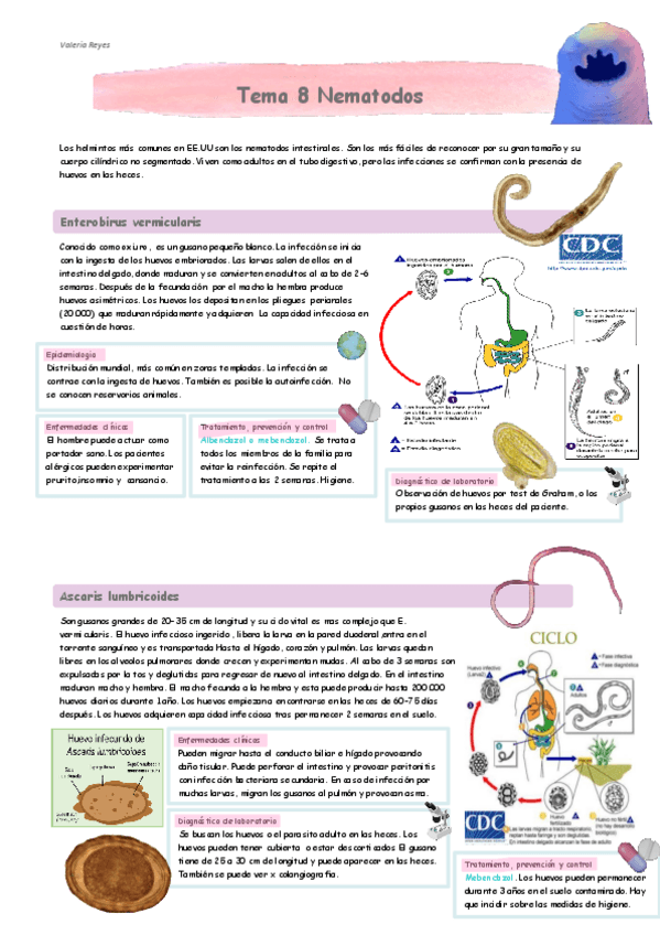 Miniatura del documento Tema-8.pdf