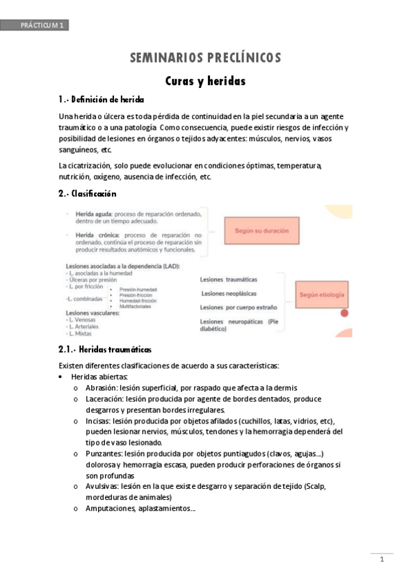 Miniatura del documento Seminarios-preclinicos.pdf