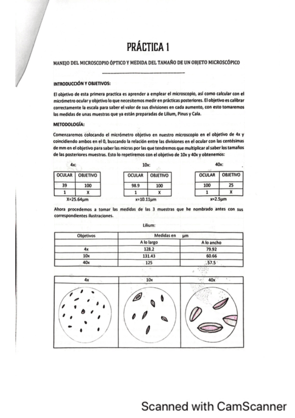 Miniatura del documento Practicas-Laboratorio-hechas.pdf