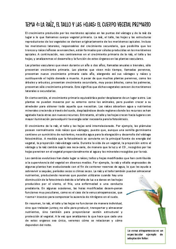 Miniatura del documento Tema-4.pdf