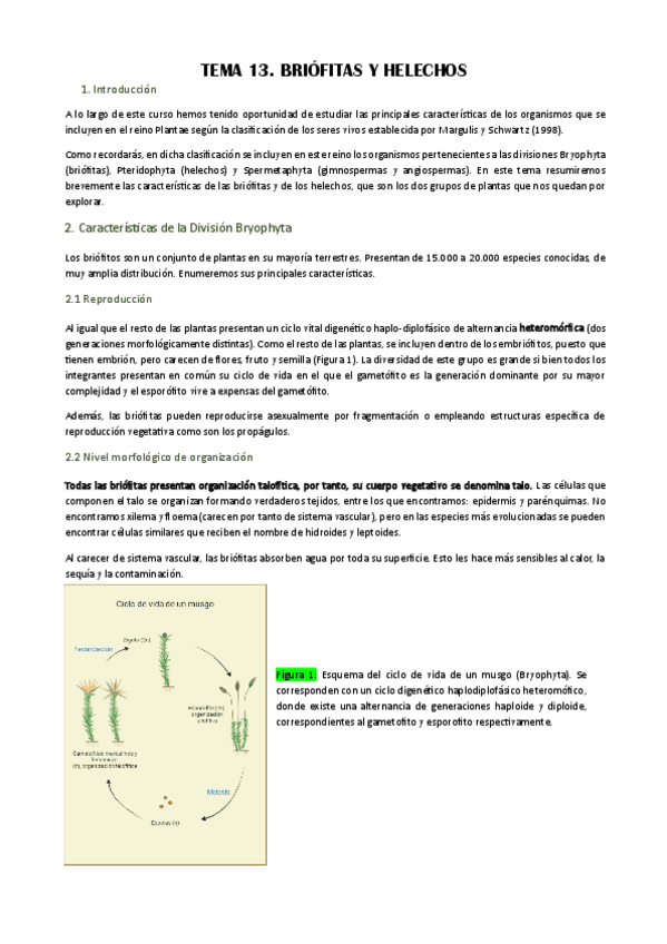 Miniatura del documento Tema-13-Briofitas-y-Helechos.pdf