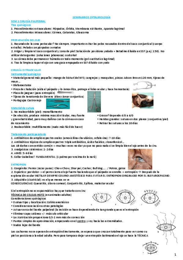 Miniatura del documento APUNTES-SEMINARIOS-OFTALMOLOGIA.pdf