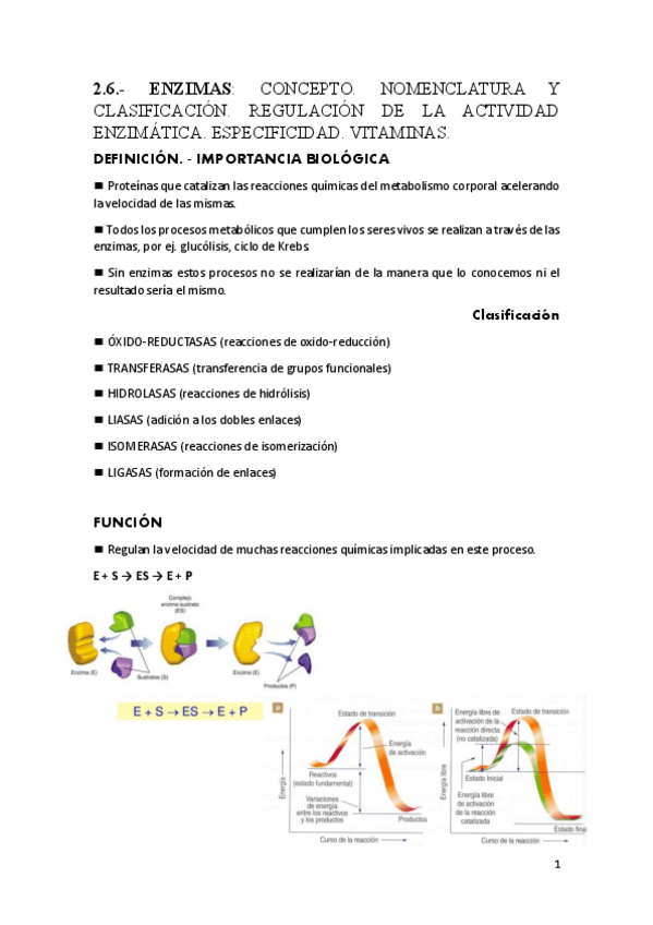 Miniatura del documento 2.6.-ENZIMAS-PDF.pdf