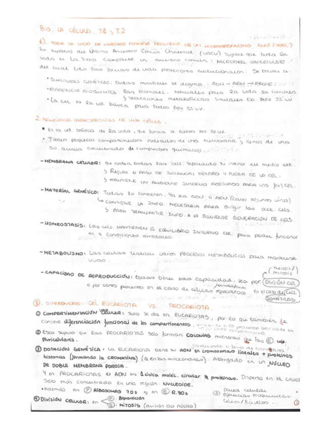Miniatura del documento todo-lo-necesario-T.1-5-Esquemas.pdf