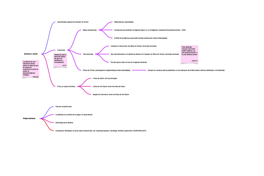 Miniatura del documento Dentina-i-popla-dentaria1.pdf