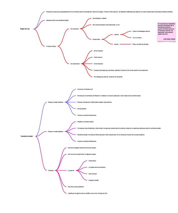 Miniatura del documento Organs-oida.pdf