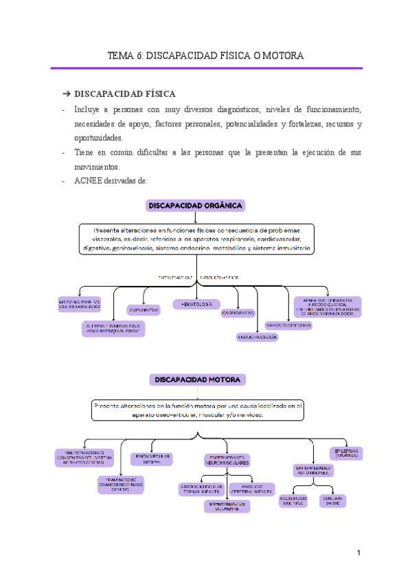 Miniatura del documento TEMA-6-DISCAPACIDAD-FISICA-O-MOTORA.pdf