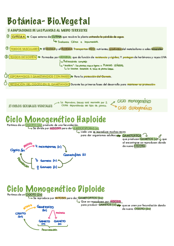 Miniatura del documento PARTE VEGETAL- lo que cae.pdf