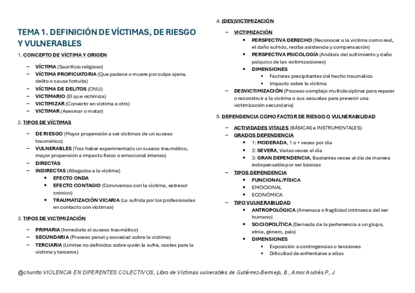 Miniatura del documento T1-ESQUEMA-VULNERABILIDAD.pdf