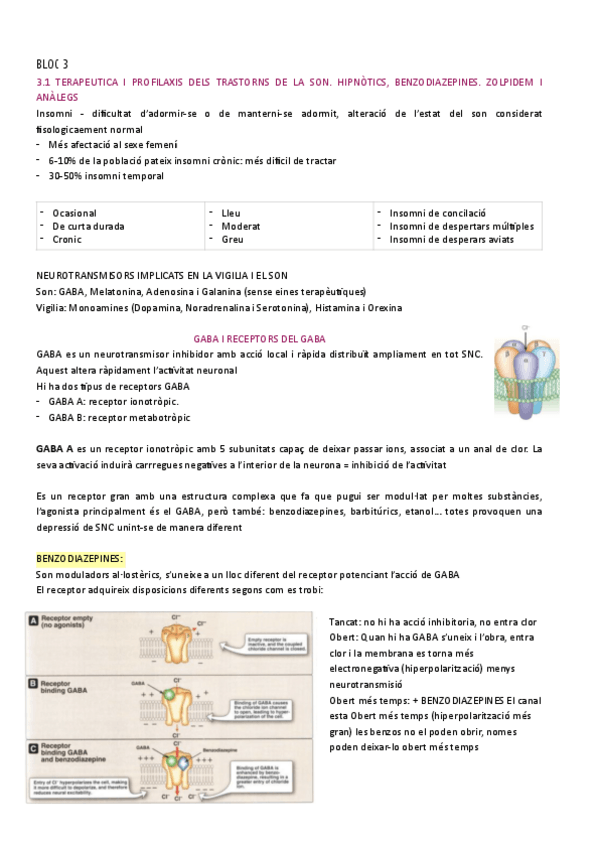 Miniatura del documento resum-de-classe-bloc-3.pdf