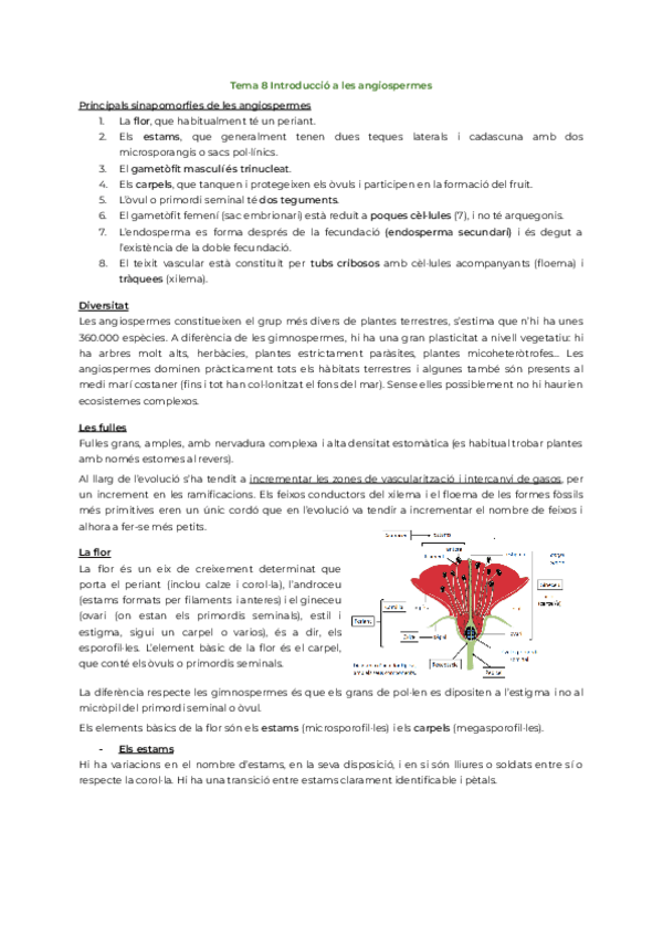 Miniatura del documento SegonParcialFA.pdf