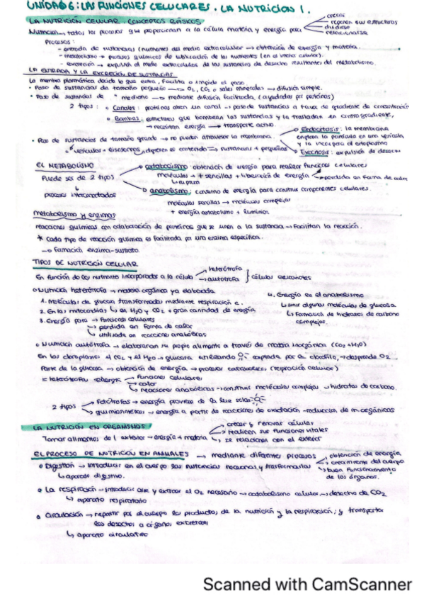 Miniatura del documento Esquemas-bio-parte-2-unidades-6-10.pdf