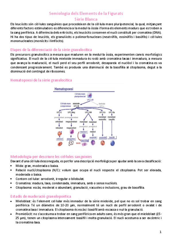 Miniatura del documento Analisi-17b.pdf