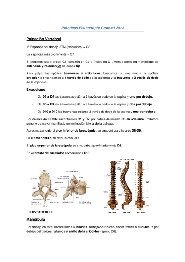 Miniatura del documento Práctica Fisioterapia.doc