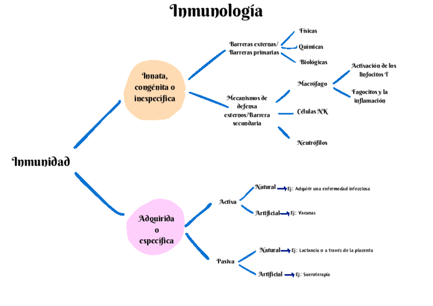 Miniatura del documento Inmunología: Esquema resumen.pdf