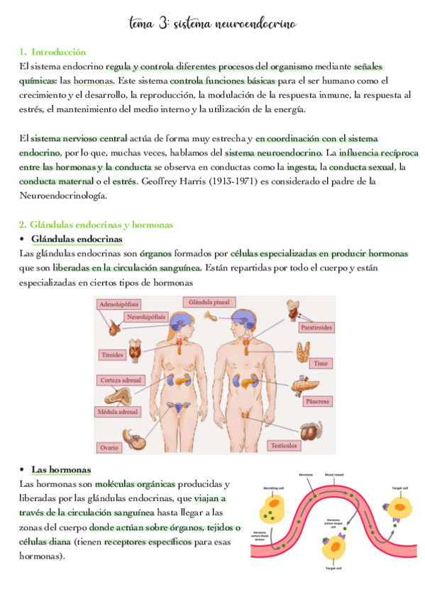 Miniatura del documento tema-4.pdf