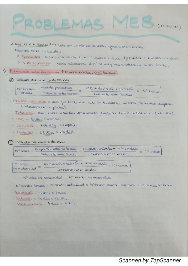 Miniatura del documento Manejo-en-bandas-porcino.pdf