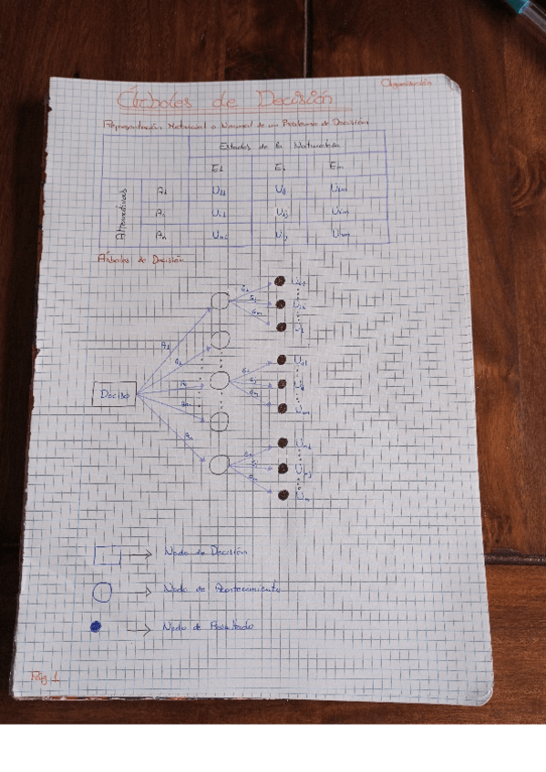 Miniatura del documento Arboles-de-decision.pdf