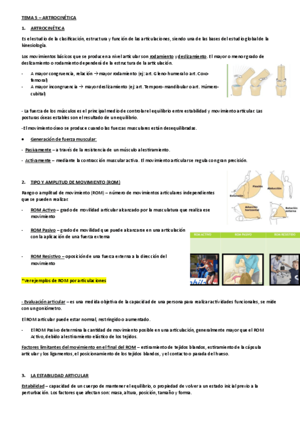Miniatura del documento TEMA-5-KINESIOLOGIA.pdf