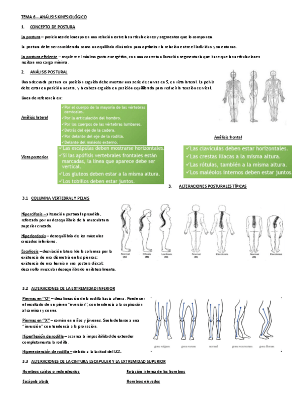 Miniatura del documento TEMA-6-KINESIOLOGIA.pdf