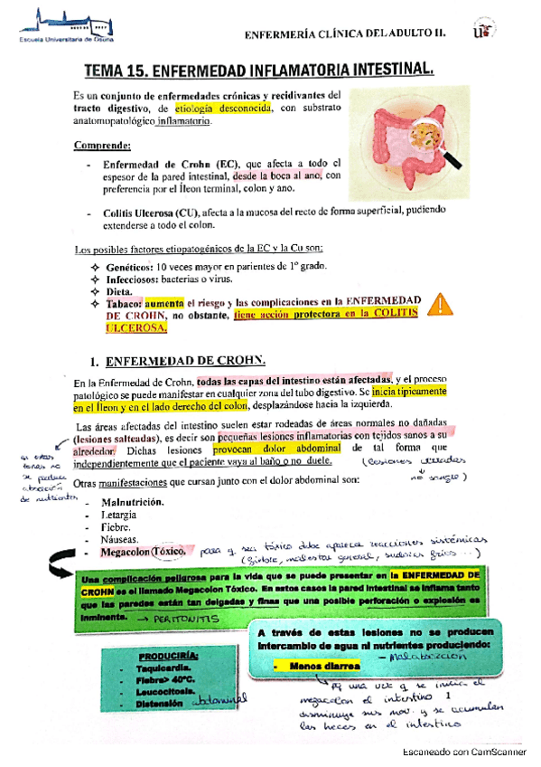 Miniatura del documento TEMA-15-ENF-INFLAMATORIA-INTESTINAL-completo.pdf