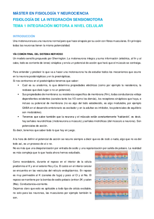 Miniatura del documento Tema 1 NIS.pdf