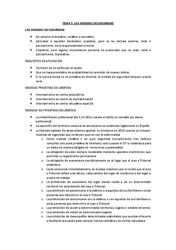 Miniatura del documento 5.-LAS-MEDIDAS-DE-SEGURIDAD.pdf