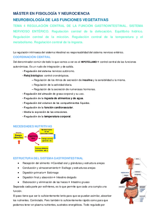 Miniatura del documento Tema 4 NFV.pdf