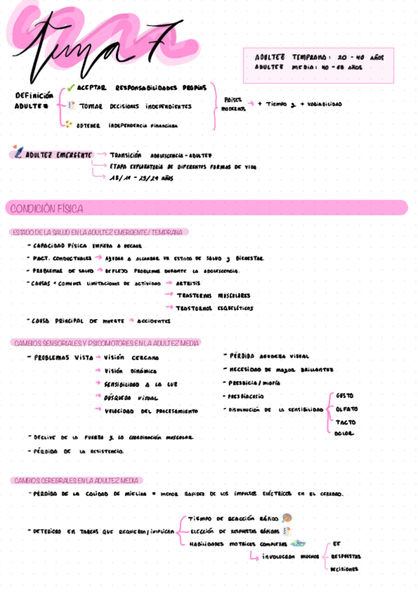 Miniatura del documento ESQUEMAS-CICLO-VITAL-TEMA-7.pdf