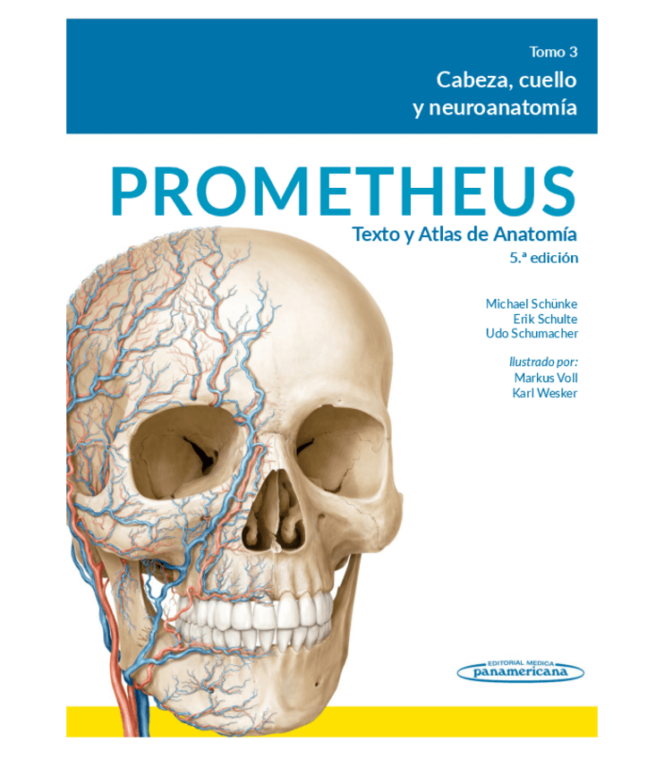 Miniatura del documento prometheus-texto-y-atlas-de-anatomia-tomo-3.pdf