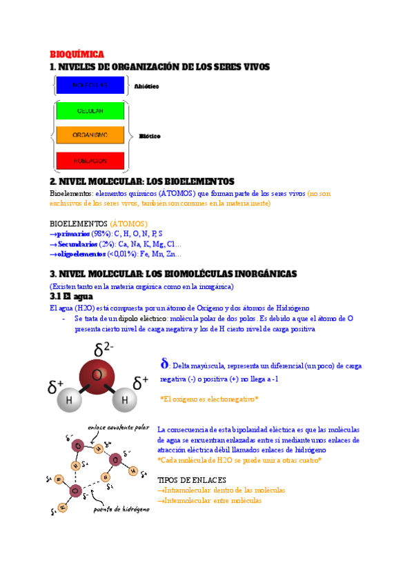 Miniatura del documento APUNTES-BIOQUIMICA.pdf