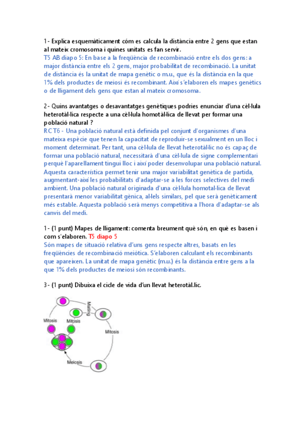 Miniatura del documento recull-preguntes-teoria-examens.pdf