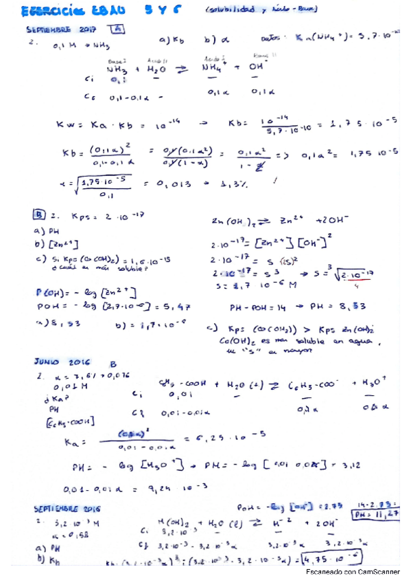 Miniatura del documento ejercicios-solubilidad-corregidos-EBAU.pdf
