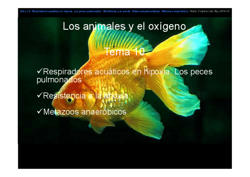 Miniatura del documento Tema 10.pdf