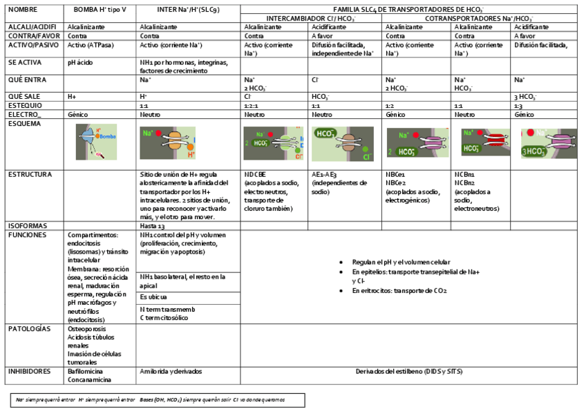 Miniatura del documento Cuadro Tema 5 LFMC.pdf