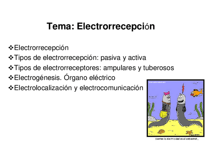 Miniatura del documento Tema 17.pdf