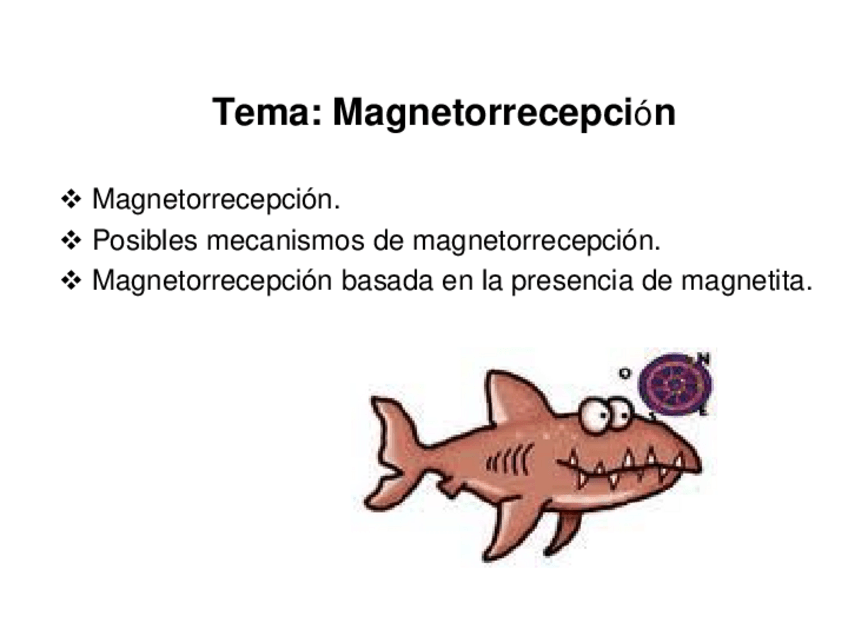 Miniatura del documento Tema 18.pdf