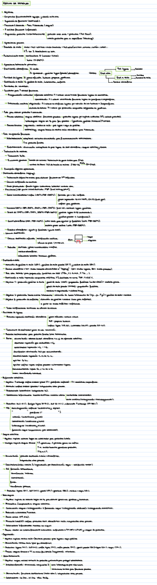 Miniatura del documento T10.pdf