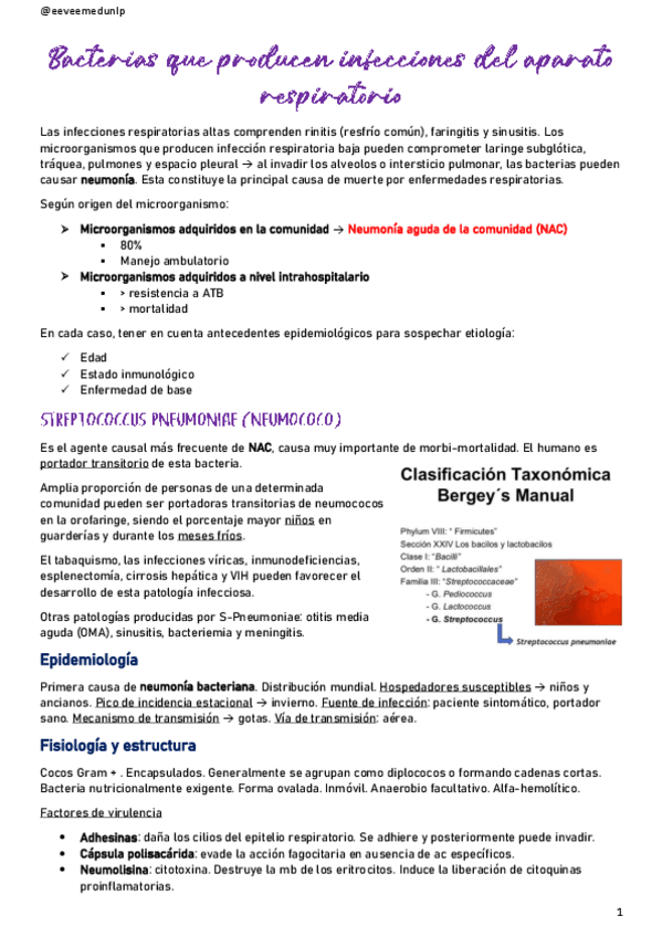 Miniatura del documento Bacterias-que-producen-infecciones-del-aparato-respiratorio.pdf