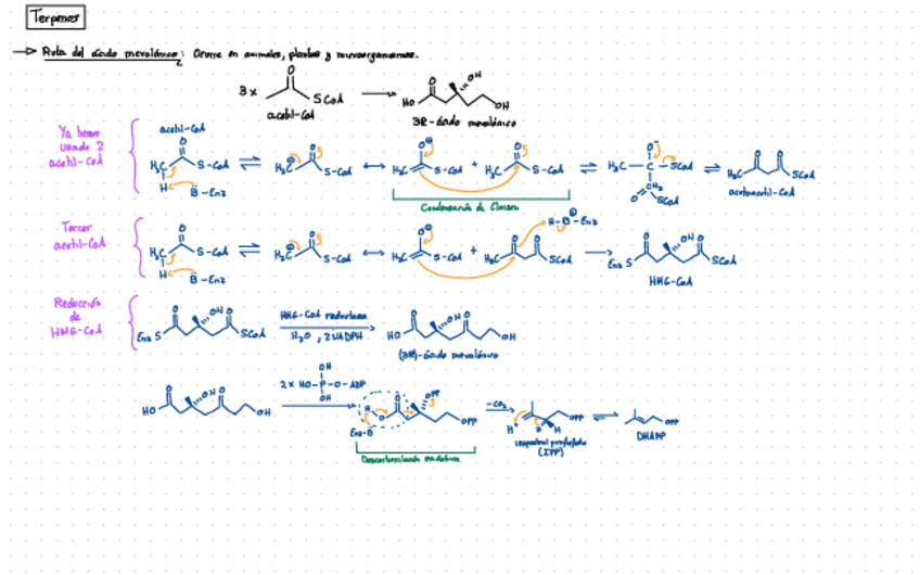 Miniatura del documento Mecanismos-QBIOL.pdf