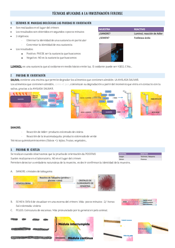 Miniatura del documento Practica-laboratorio-fundamentos-bio-medicos.pdf