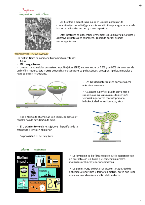 Miniatura del documento Tema-3-Practica-5-I-6-Biorreactores-De-Pelicula-Fija-biofilms.pdf