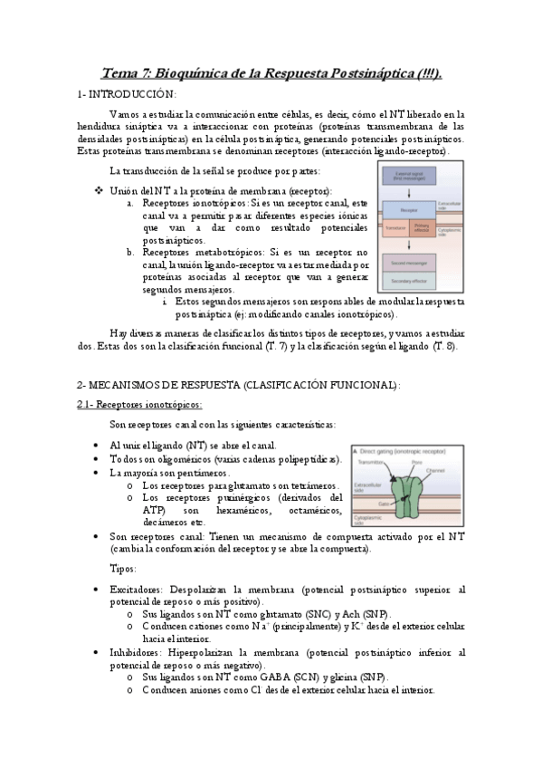 Miniatura del documento Tema-7-Neuroquimica.pdf