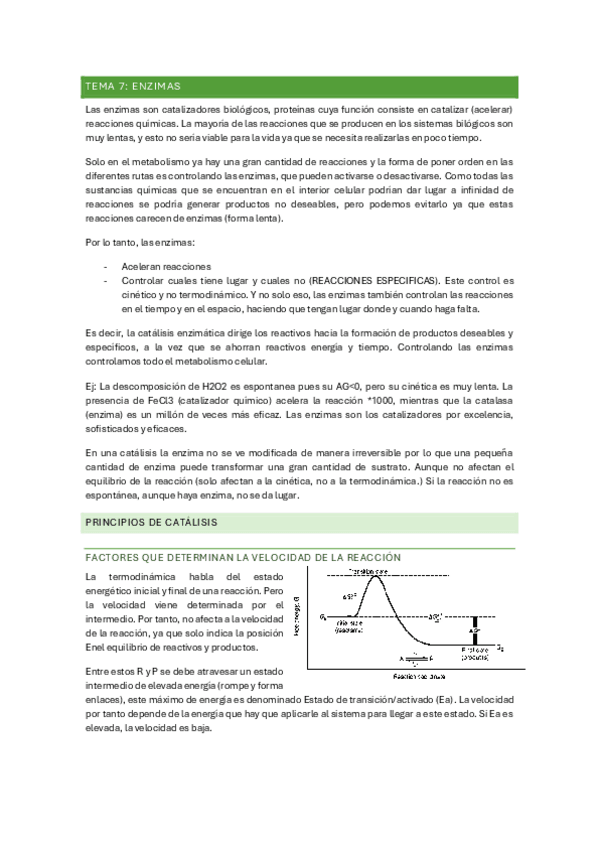 Miniatura del documento TEMA-7-y-8.pdf