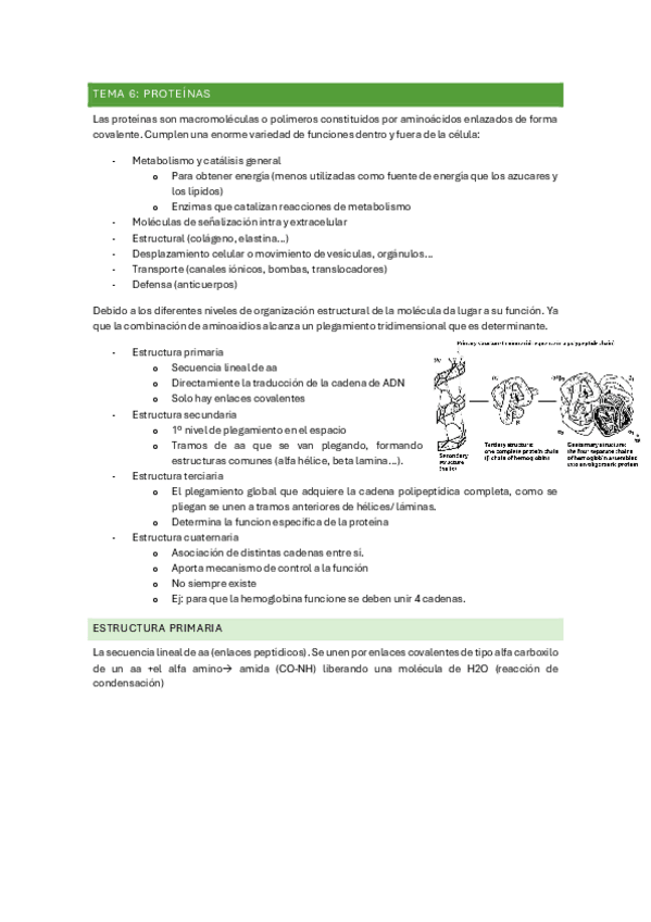 Miniatura del documento TEMA-6.pdf