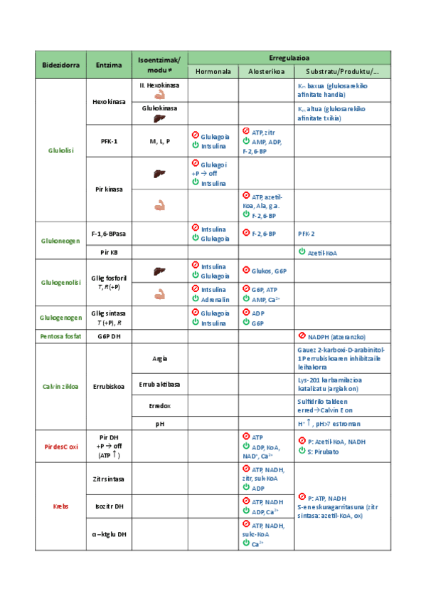 Miniatura del documento Entzima-garrantzitsuen-erregulazioa-taula.pdf