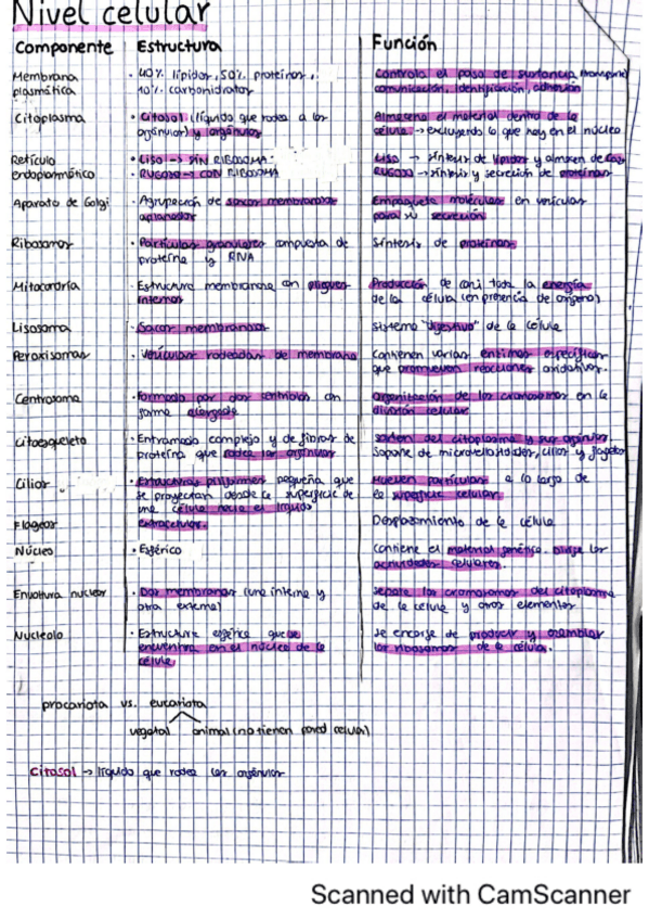 Miniatura del documento nivel-celular.pdf