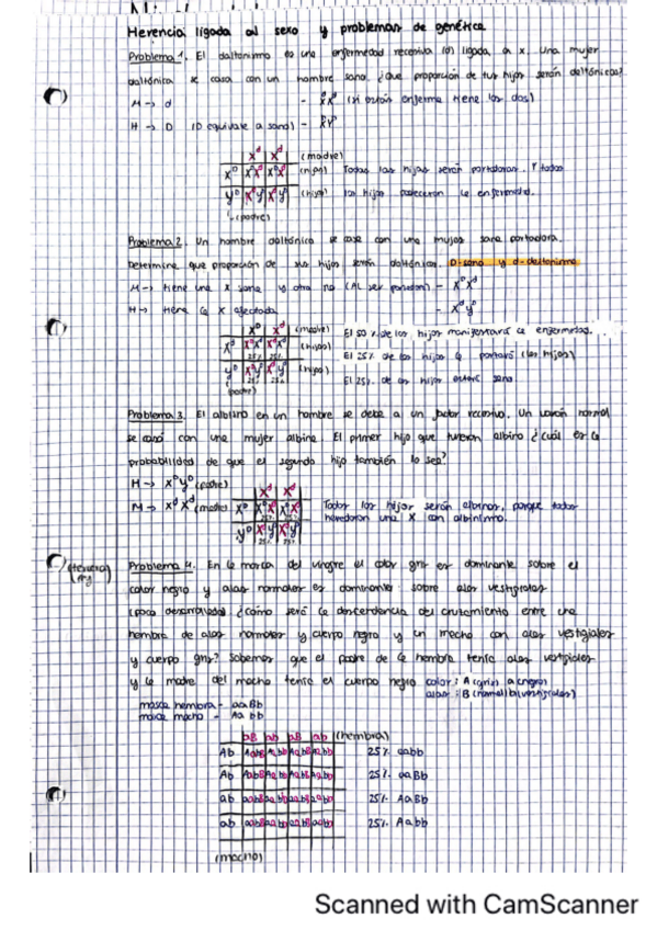 Miniatura del documento problemas-de-genetica.pdf