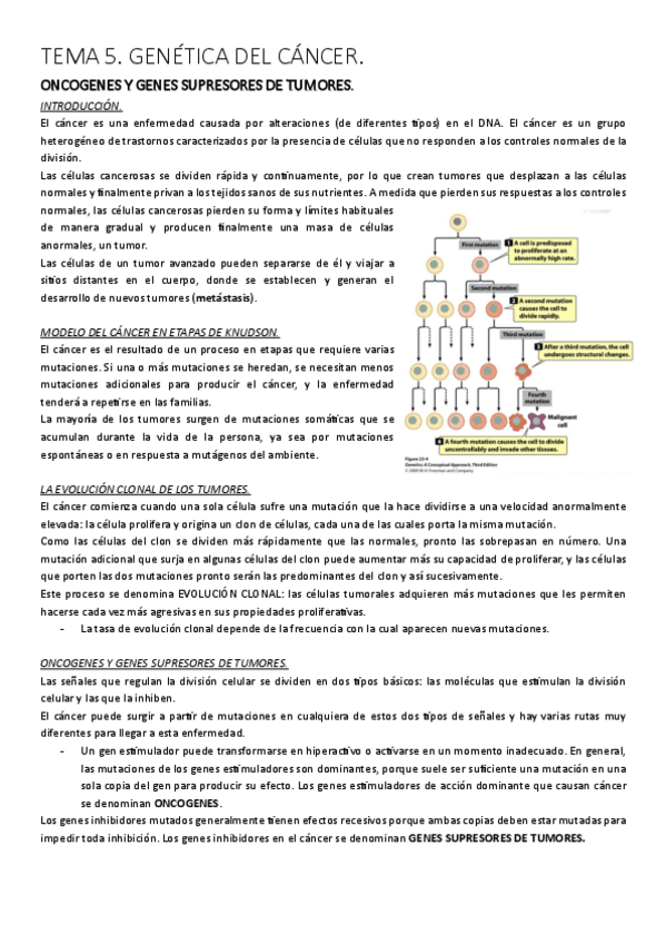 Miniatura del documento TEMA-5-GENETICA..pdf
